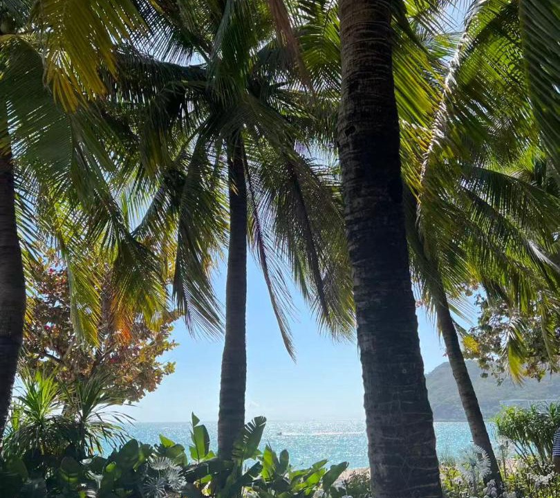 Photo of Others in Sanya