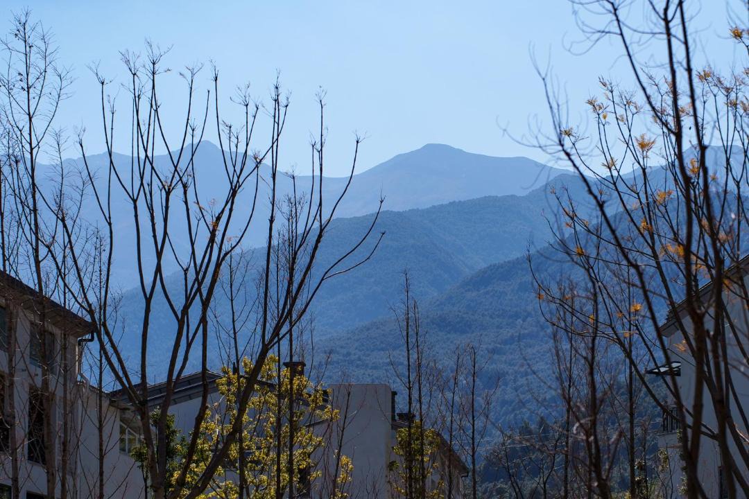 Photo of Others in Dali Town