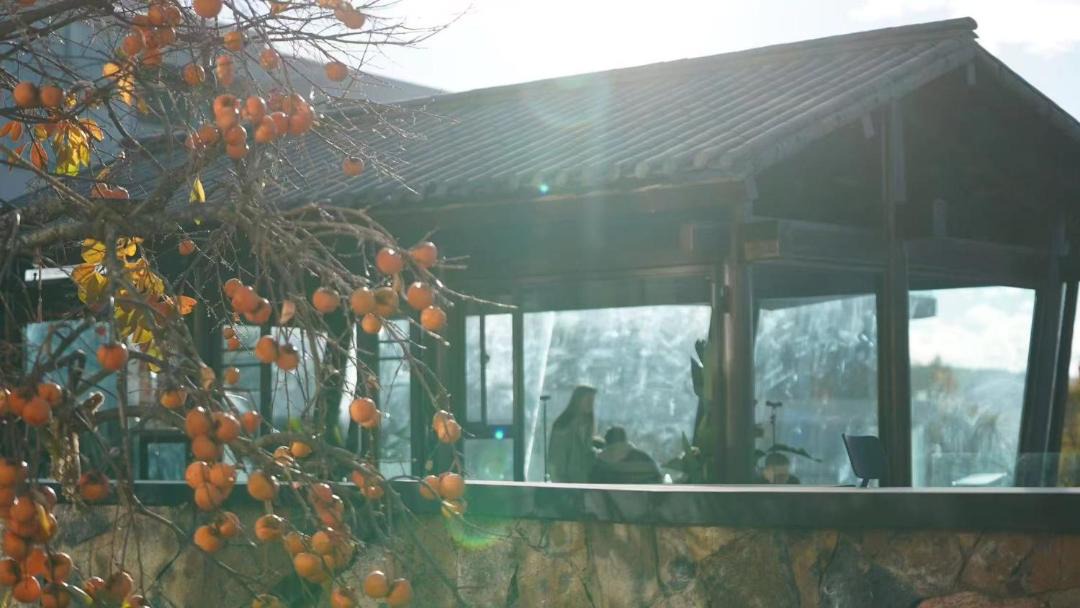 Photo of Others in Gucheng District