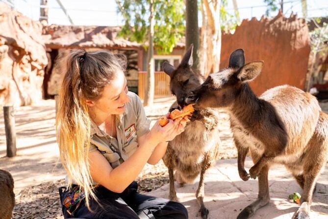 Photo of Others in Chinatown