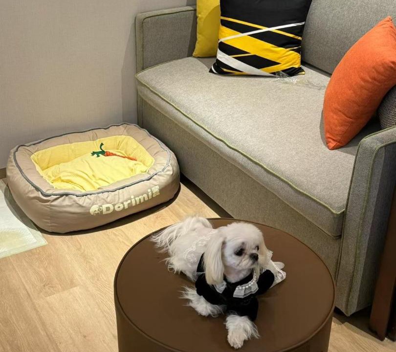 Photo of Livingroom in Xingcheng