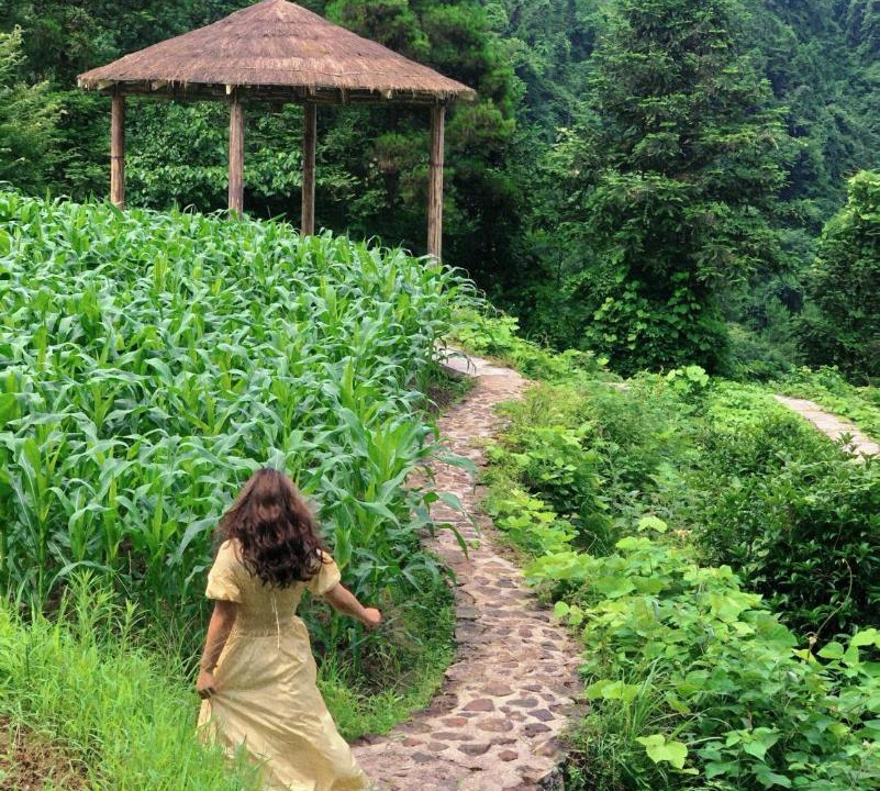 Photo of Others in Wulingyuan