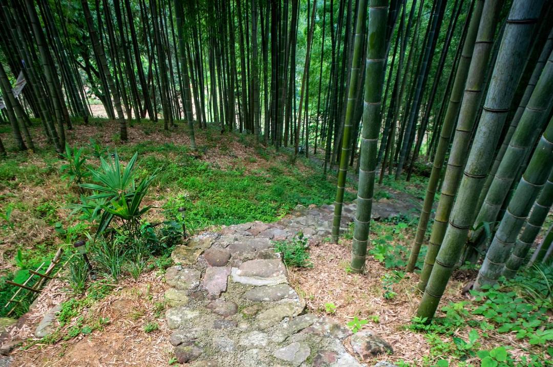 Photo of Others in Wulingyuan
