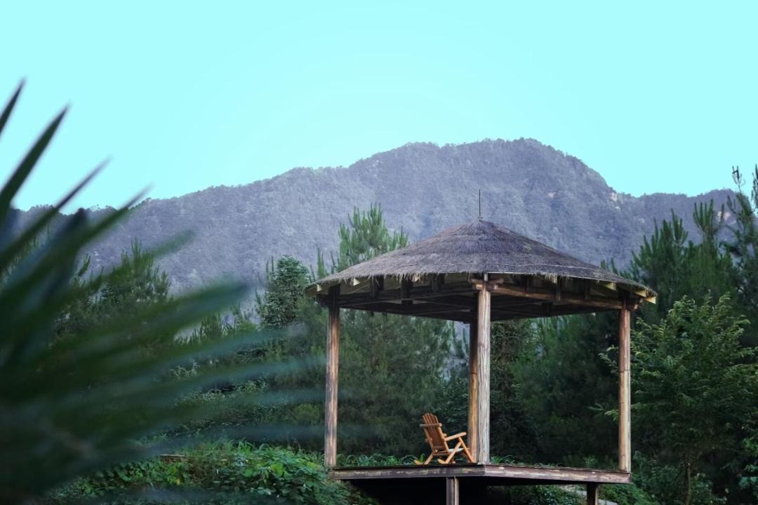Photo of Others in Wulingyuan