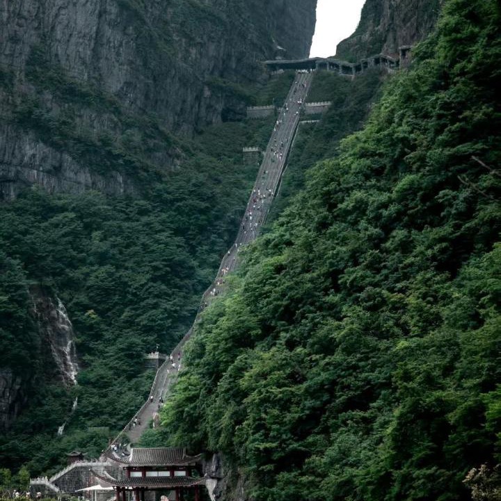 Photo of Others in Wulingyuan