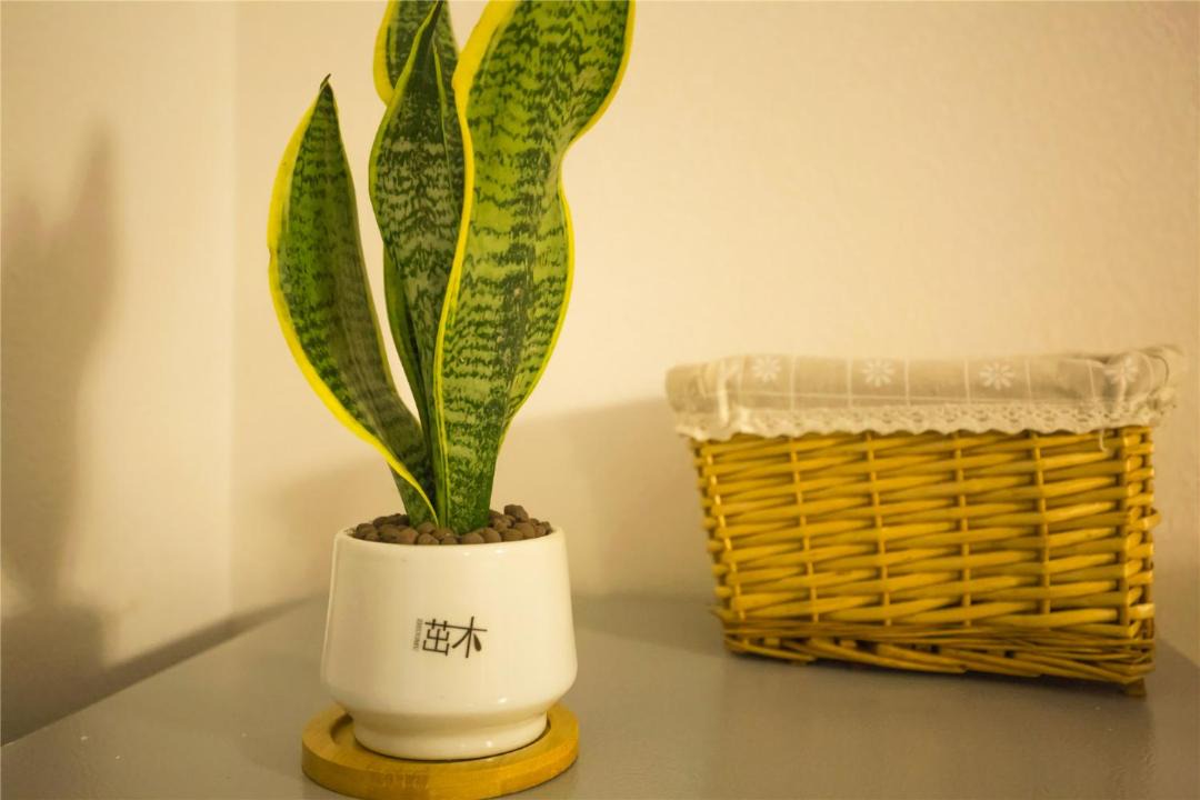 Photo of Others in Shizhong