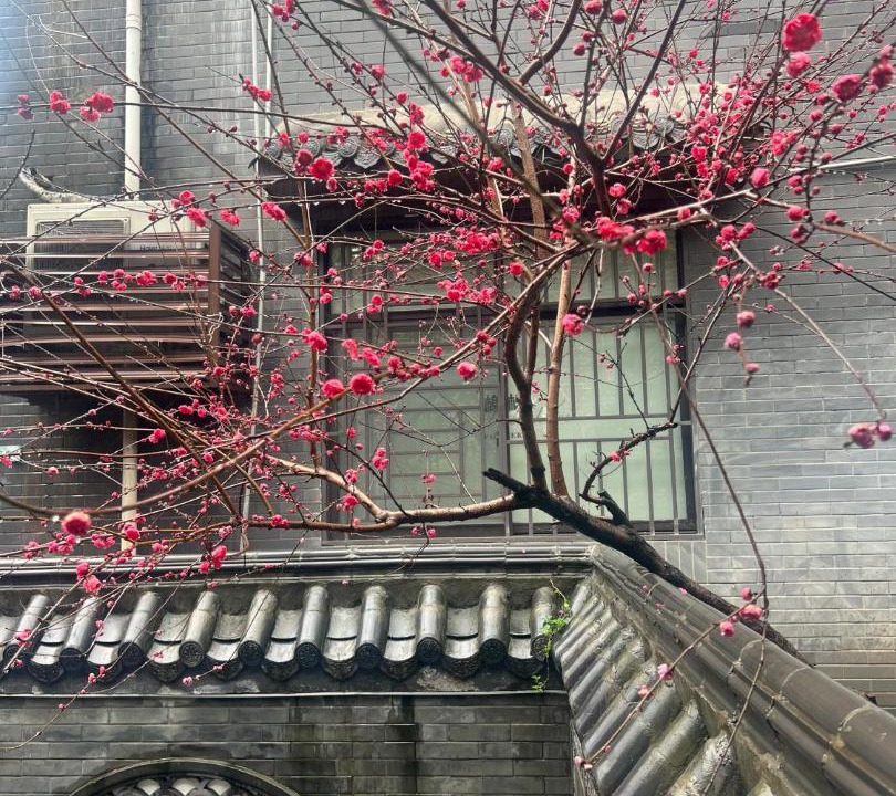 Photo of Others in Tian Xin