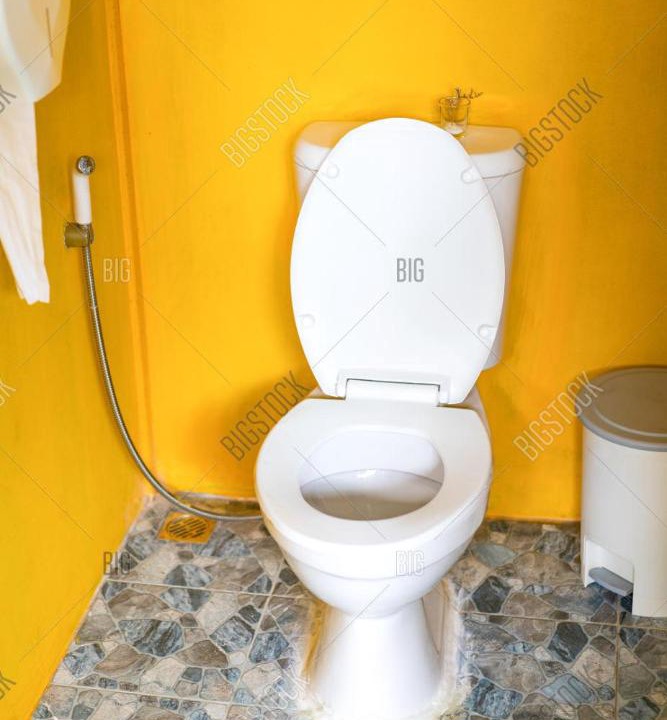 Photo of Bathroom in Barpeta