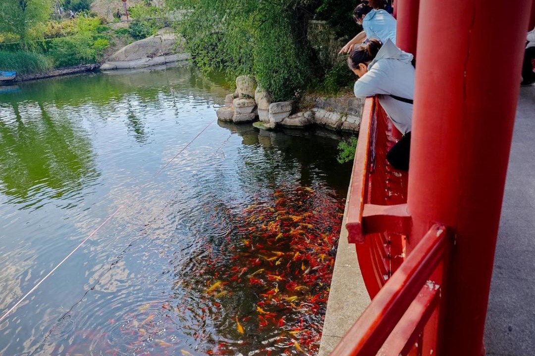 Photo of Others in Tai'an