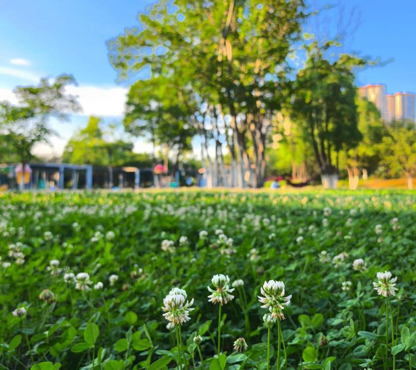 Photo of Others in Changsha County
