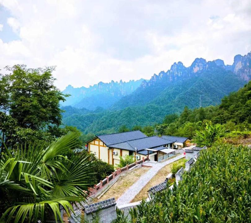 Photo of Others in Wulingyuan