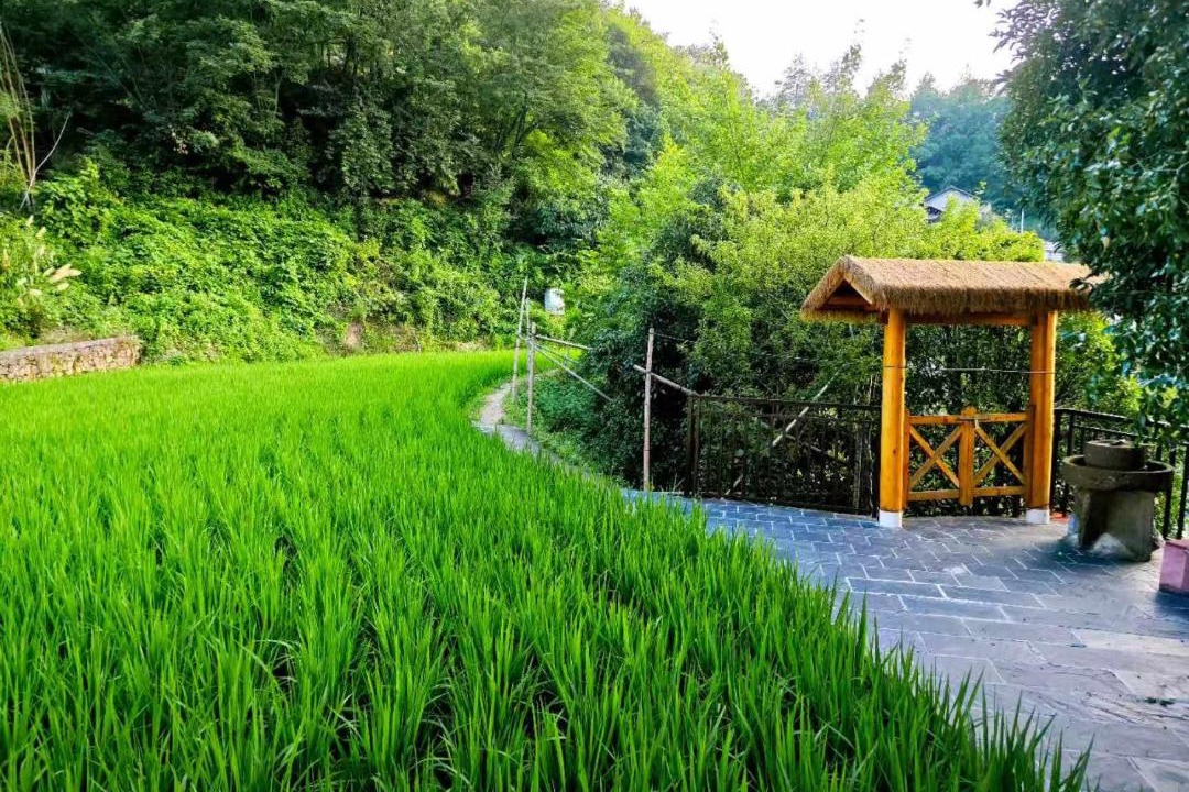 Photo of Others in Wulingyuan