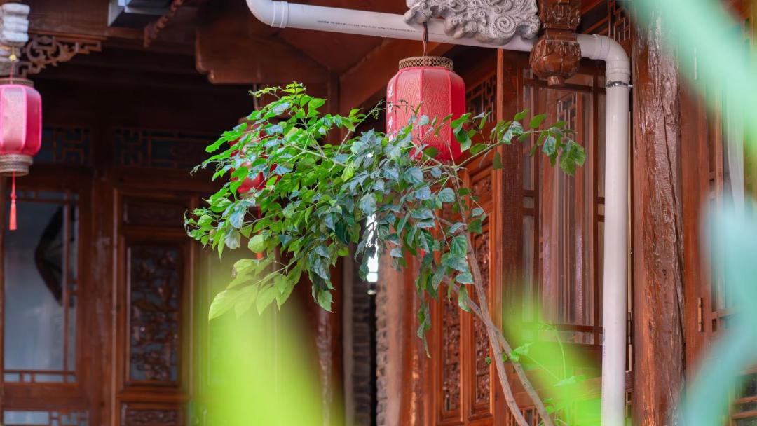 Photo of Others in Dayan Old Town