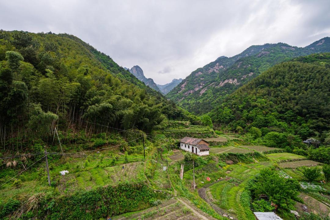 Photo of Others in Huangshan