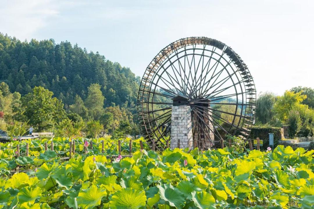 Photo of Others in Yi County