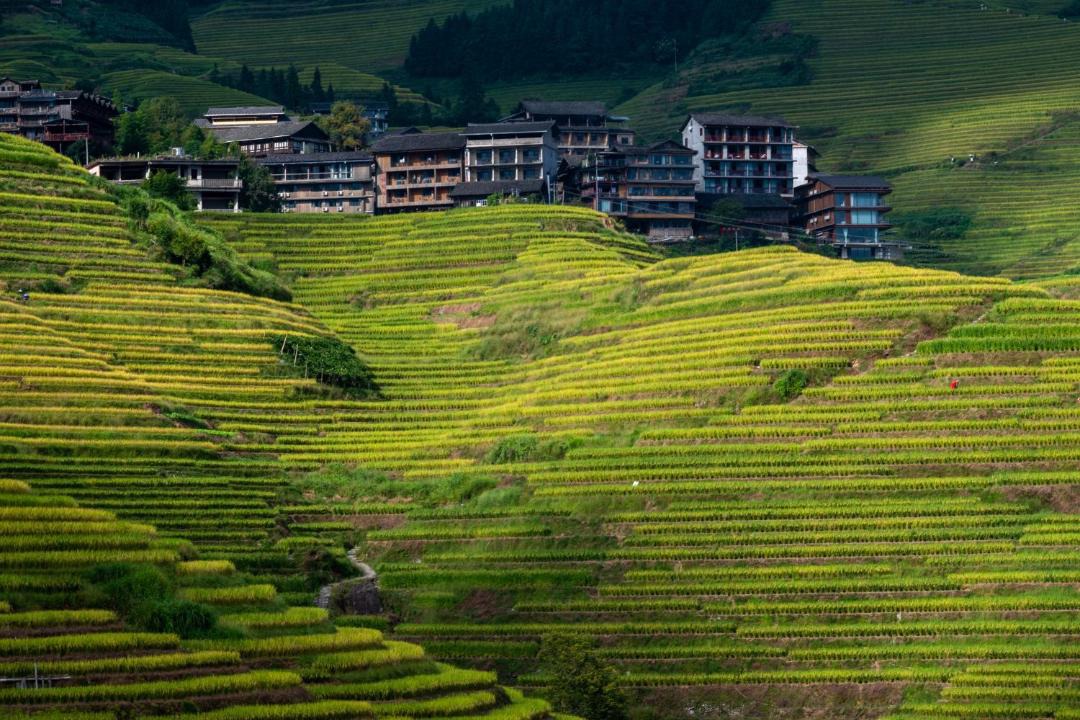 Photo of Others in Longsheng