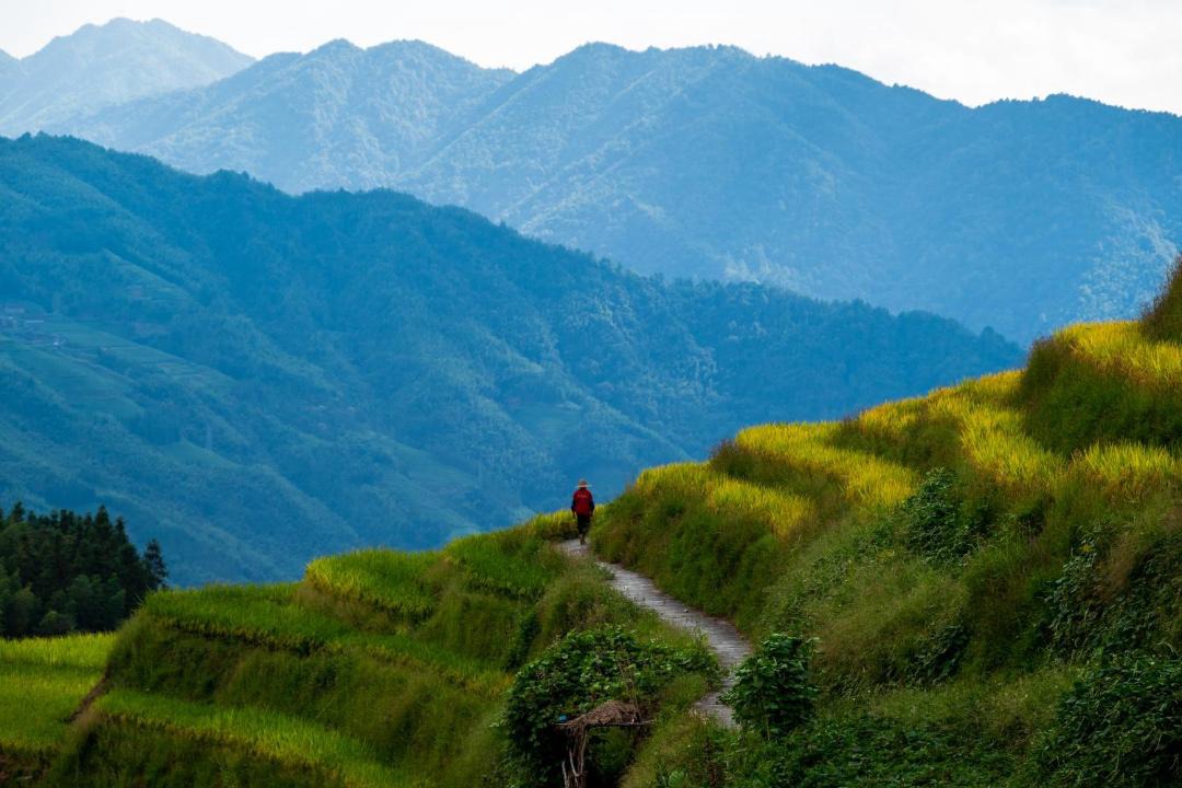 Photo of Others in Longsheng