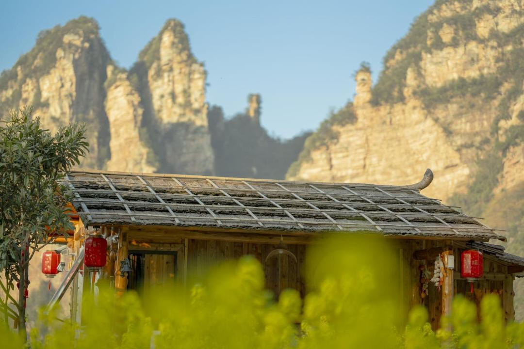 Photo of Others in Wulingyuan
