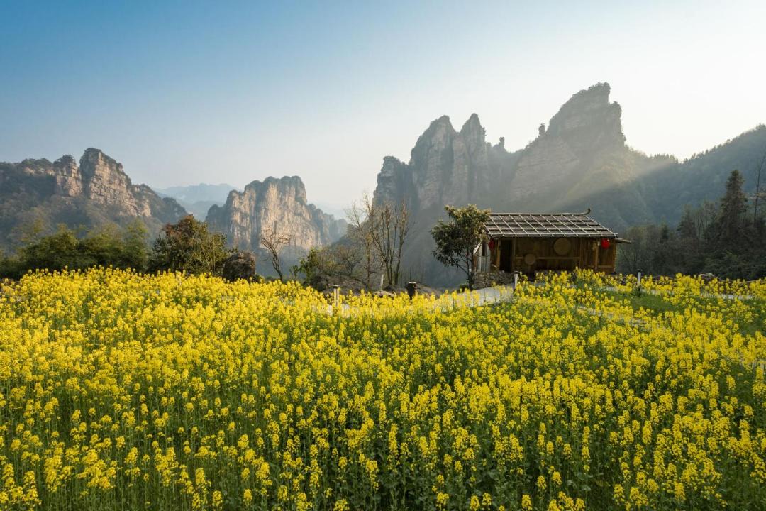 Photo of Others in Wulingyuan