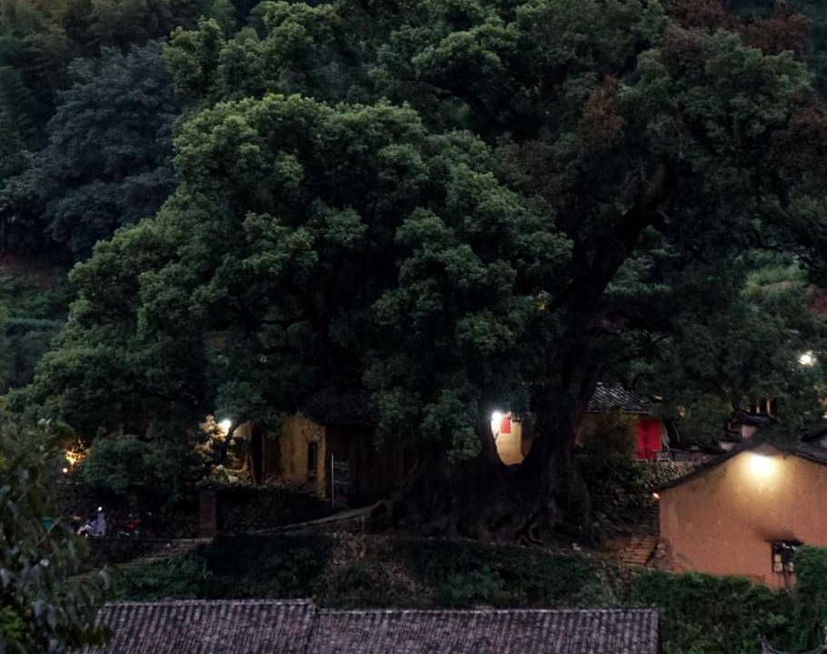 Photo of Others in Lishui