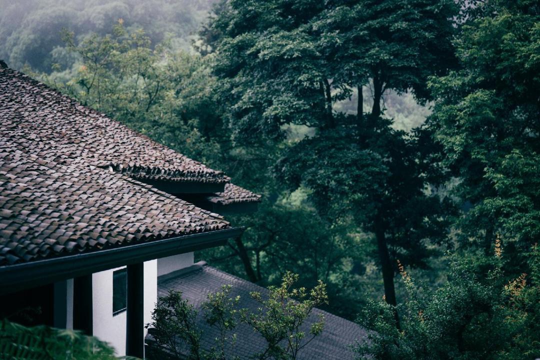 Photo of Others in Emeishan
