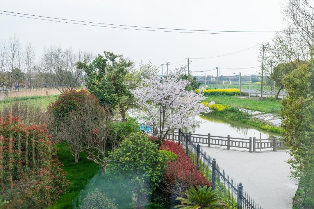 Photo of Others in Pudong