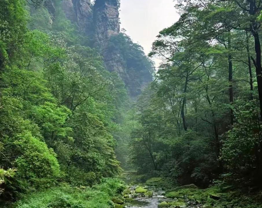 Photo of Others in Wulingyuan