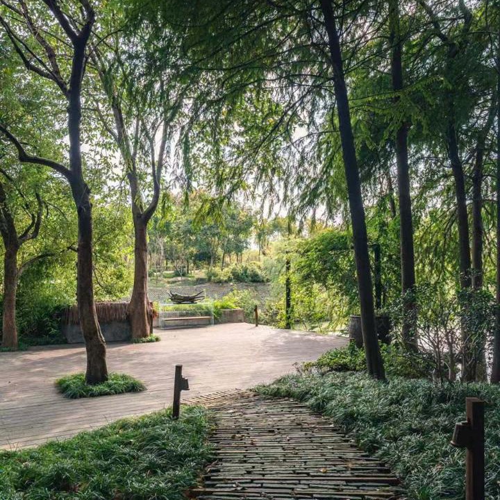 Photo of Others in Xihu