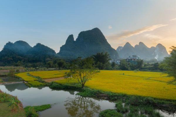 Photo of Others in Yangshuo