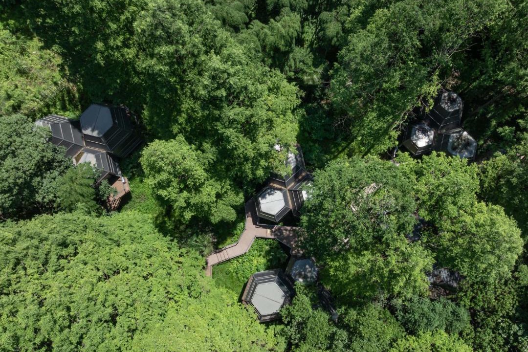 Photo of Others in Yuhang District