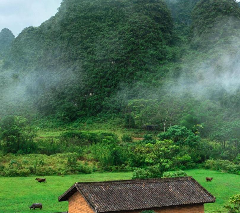 Photo of Others in Yangshuo