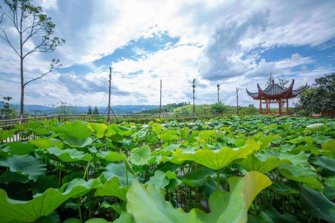 Photo of Others in Yongding