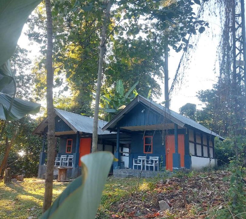 Photo of Others in Amini