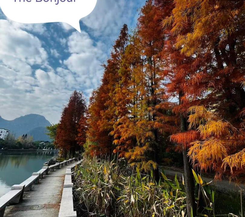 Photo of Others in Xiufeng