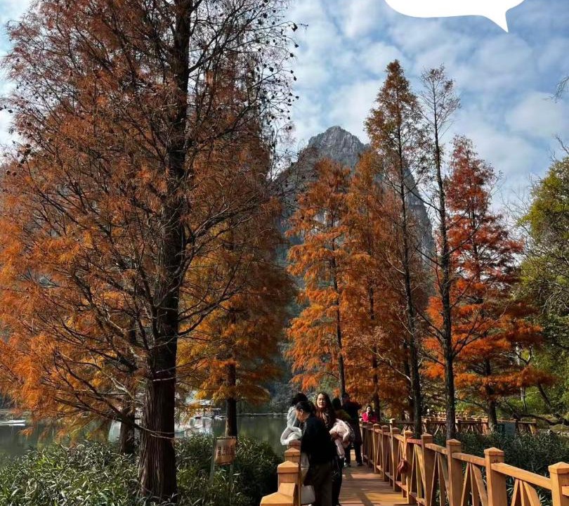 Photo of Others in Xiufeng