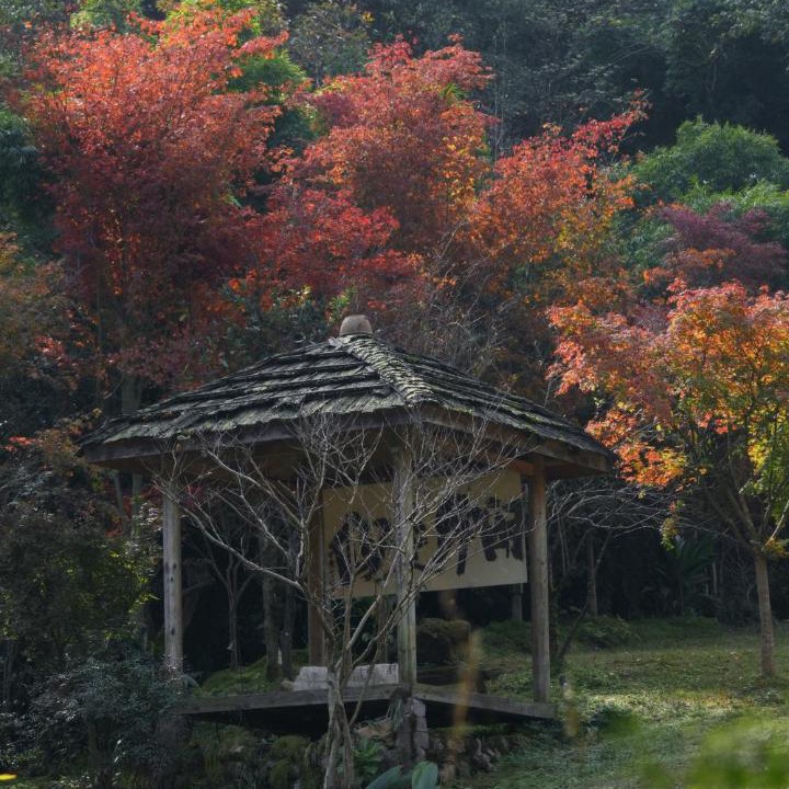 Photo of Others in Dujiangyan