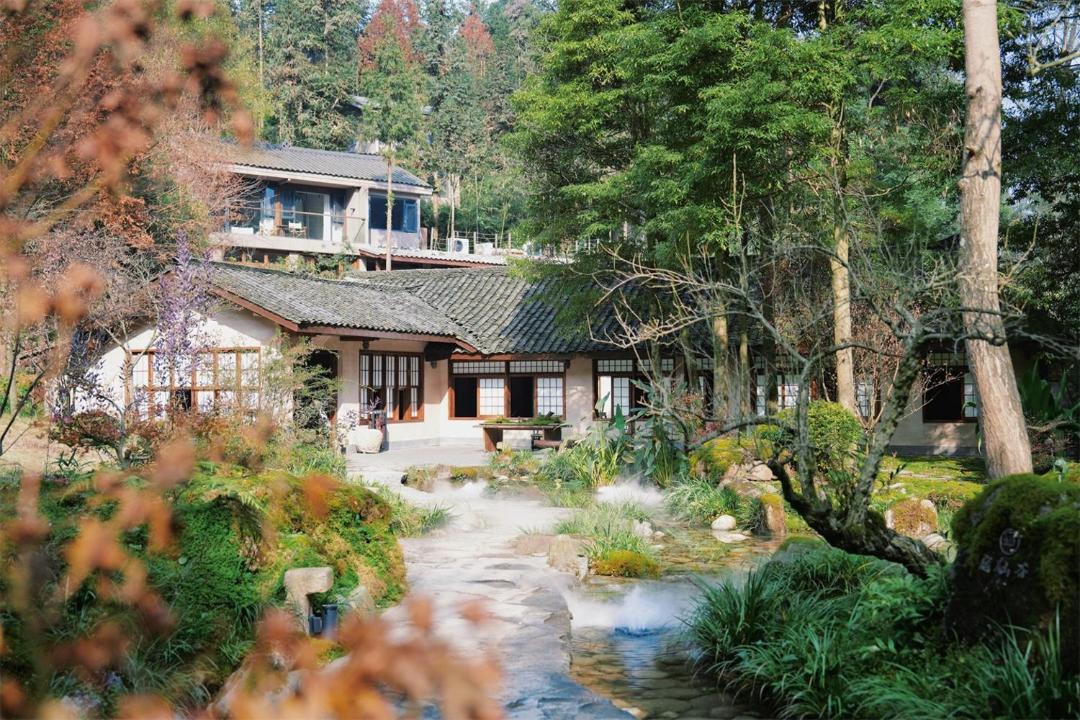 Photo of Others in Dujiangyan