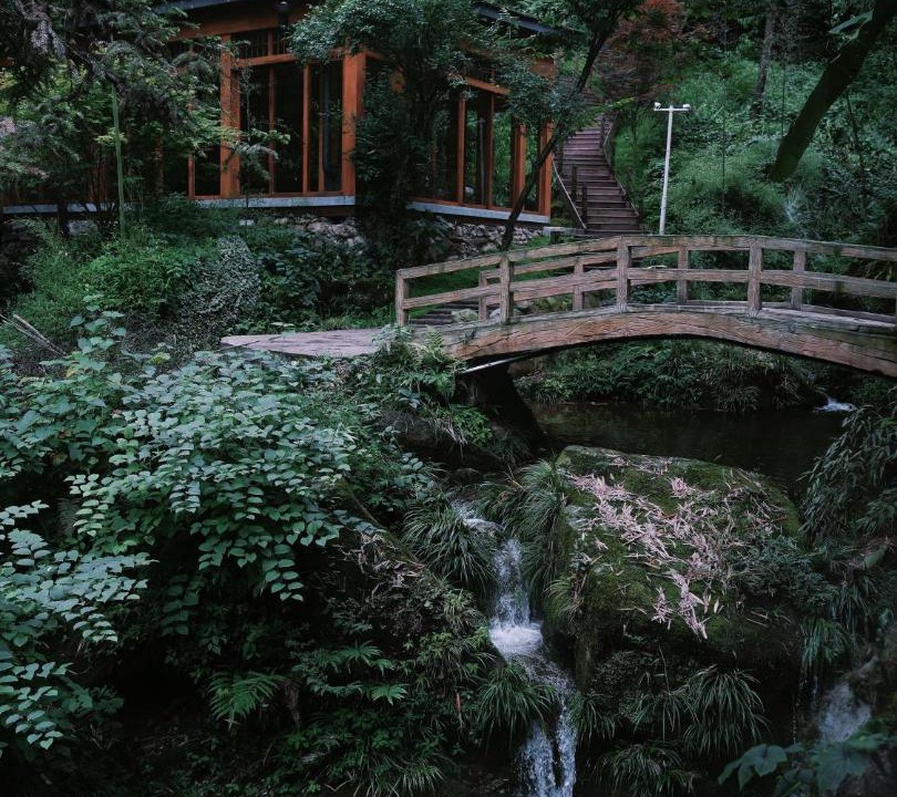 Photo of Others in Dujiangyan