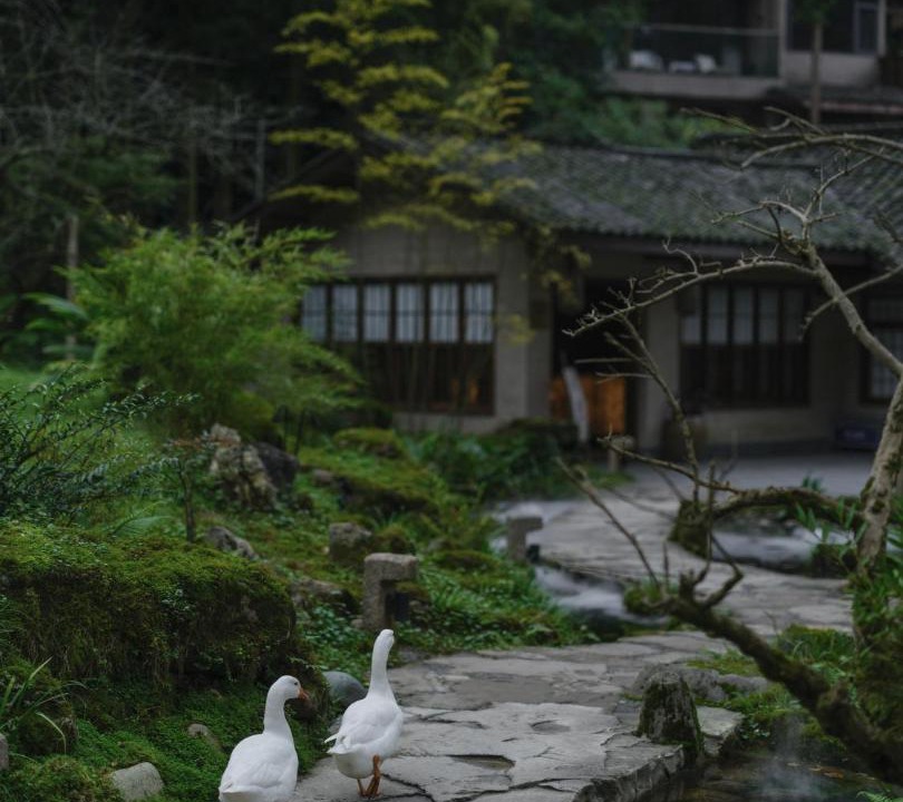 Photo of Others in Dujiangyan