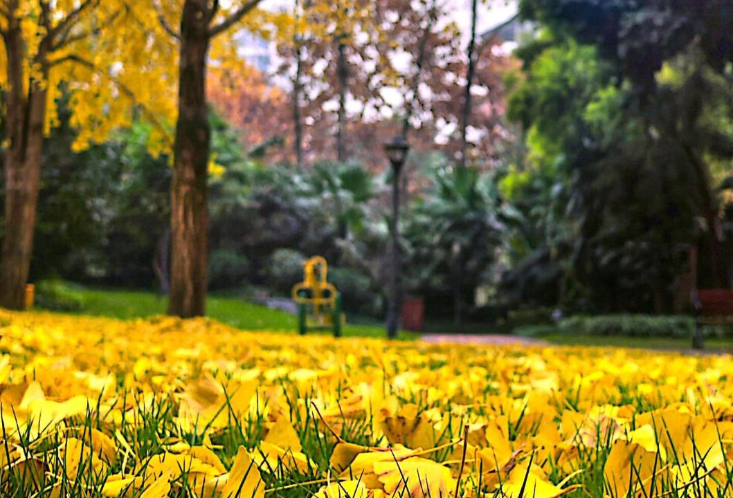 Photo of Others in Chongqing