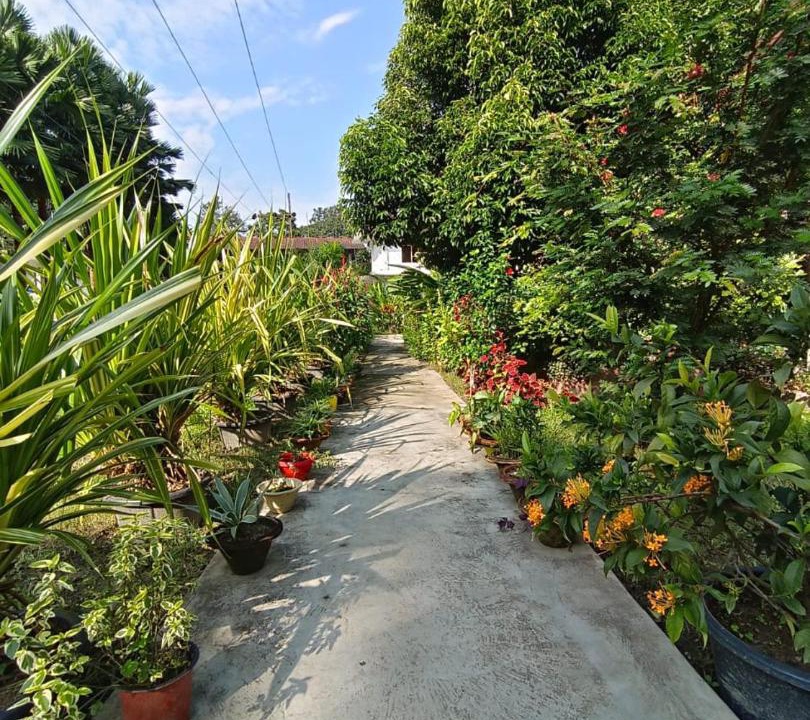 Photo of Outdoor in Hatikhuli