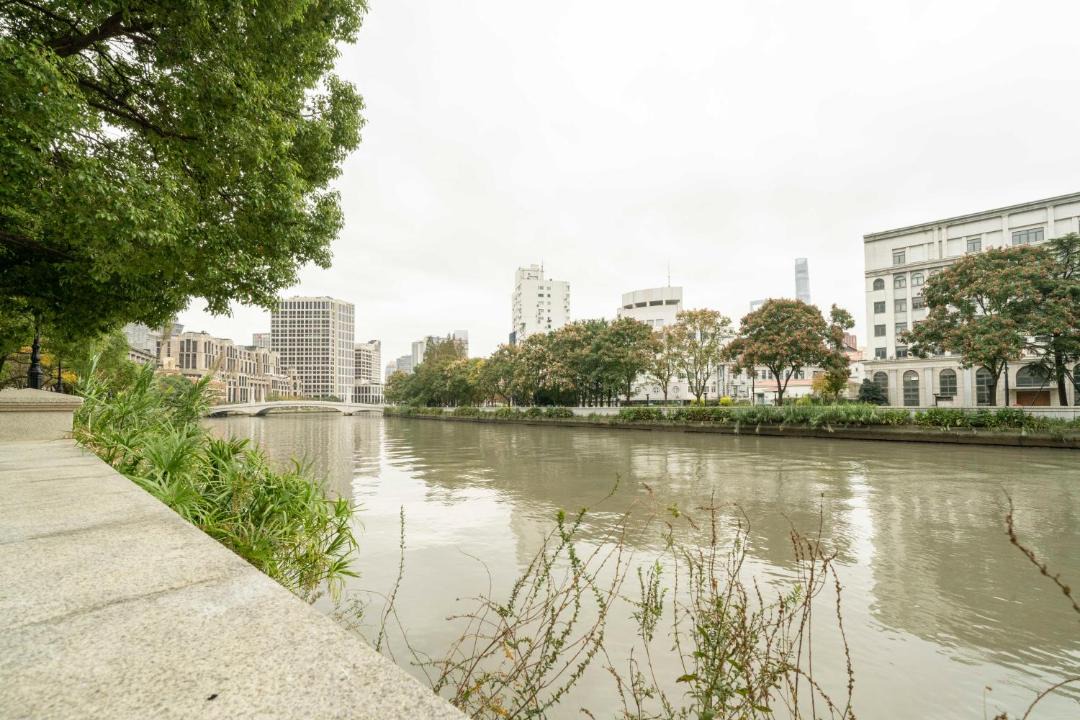 Photo of Others in The North Bund