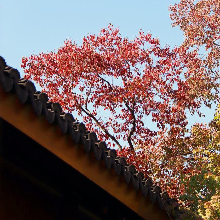 Photo of Others in Suzhou Old Town