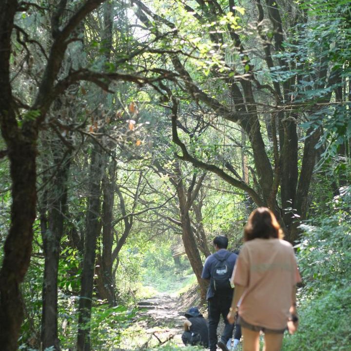 Photo of Others in Xingping Ancient Town
