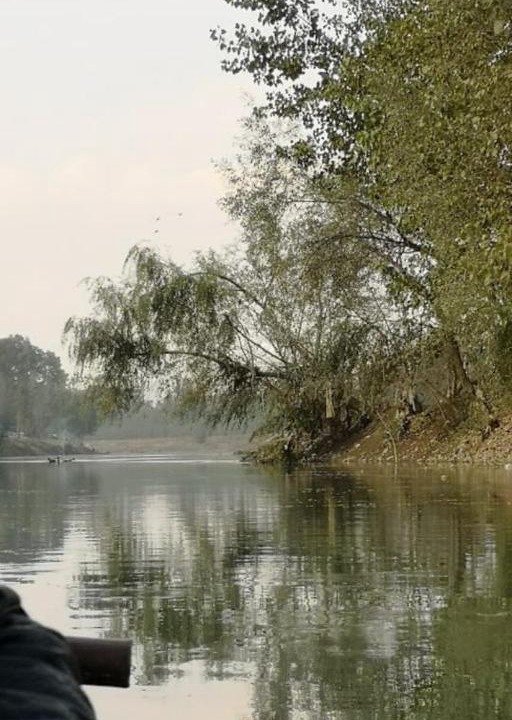 Photo of Others in Dal Lake