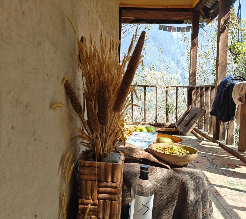 Photo of Others in Manali