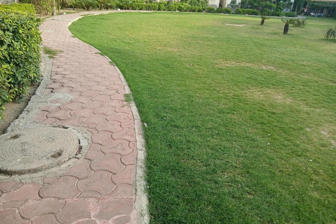 Photo of Outdoor in Vrindavan