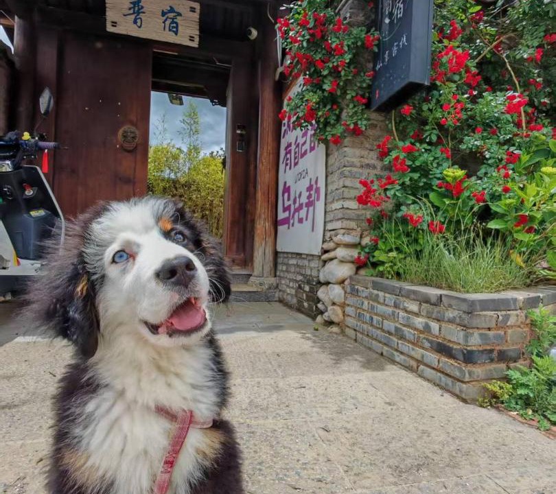 Photo of Others in Yulong