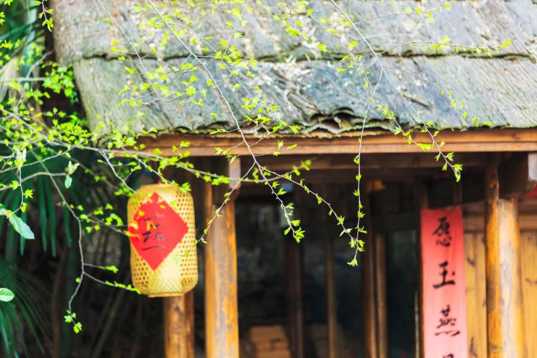 Photo of Others in Chaqiyu