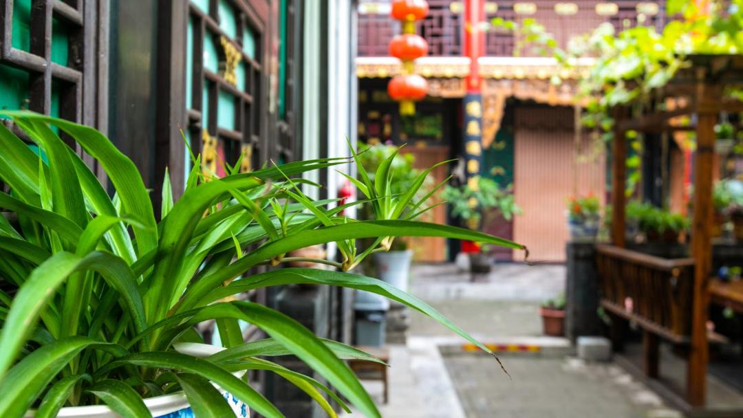 Photo of Others in Pingyao